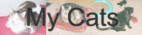 My Cats